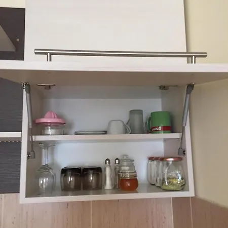 Apartment Sidro Vrnjacka Banja